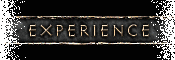Experience